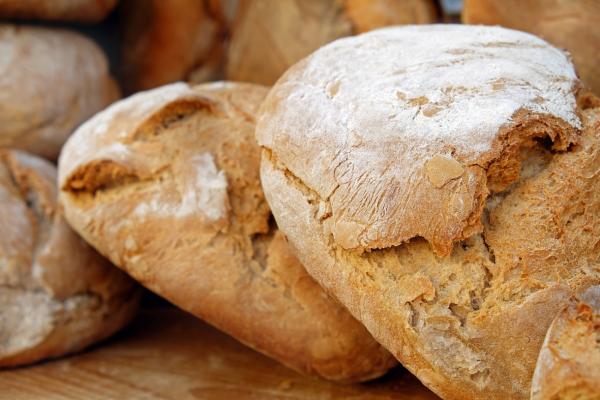 Vom Fladen zur Sauerteig-Renaissance: Die wilde Geschichte des Brotes