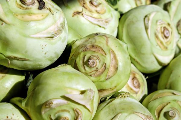 Frühlingsgemüse richtig lagern: 8 Tipps für längere Frische von Radieschen, Kohlrabi und Co.
