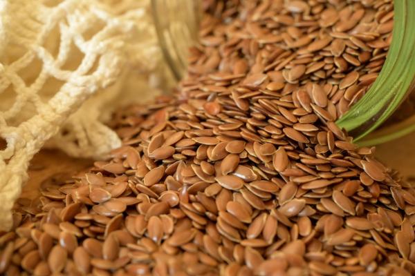 Omega-3 ohne Fisch: 8 pflanzliche Alternativen, die wirklich funktionieren