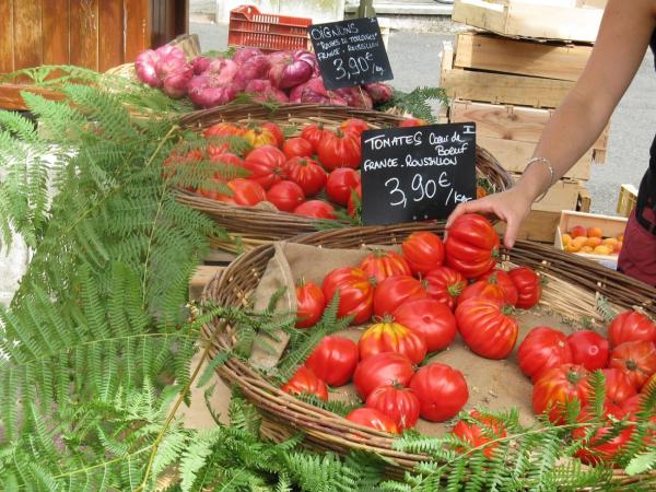 Wie die Tomate Europas Küche eroberte – und warum das 200 Jahre dauerte
