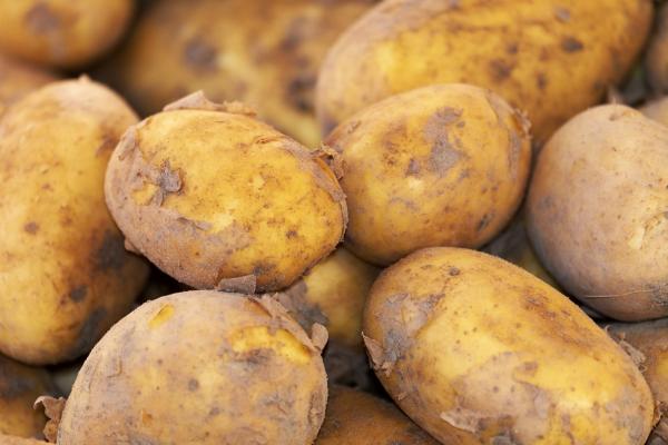 Resistente Stärke maximieren: Abgekühlte Kartoffeln und andere Tricks